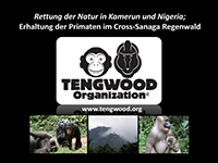 presentation tengwood organisation 2011 deutsch
