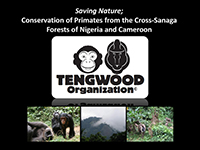 presentation tengwood organisation 2011 english