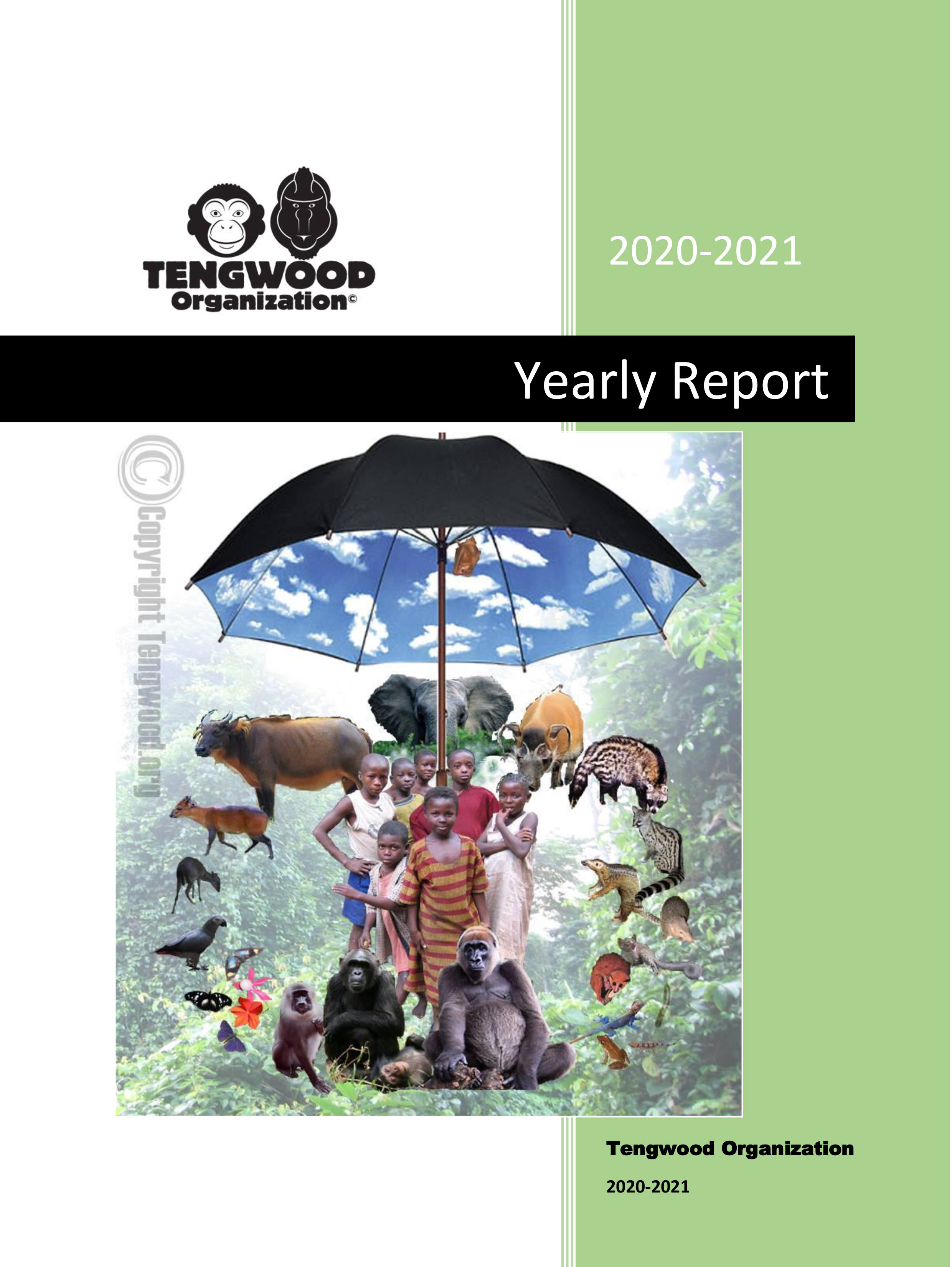 jahresrapport-2015-2016