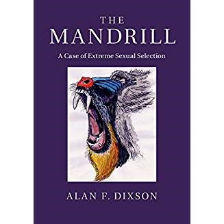 the mandrill