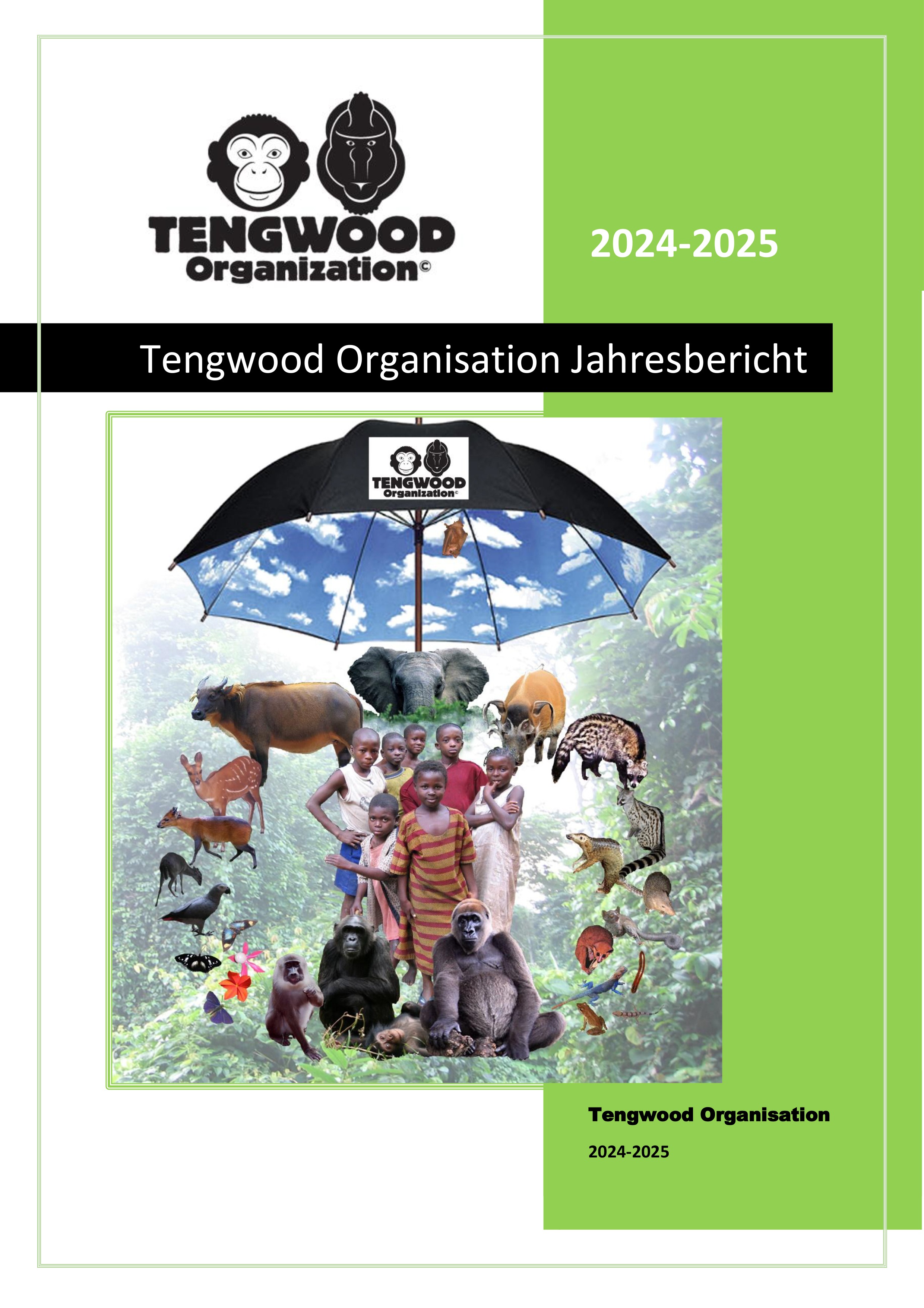 Jahres-Rapport 2025
