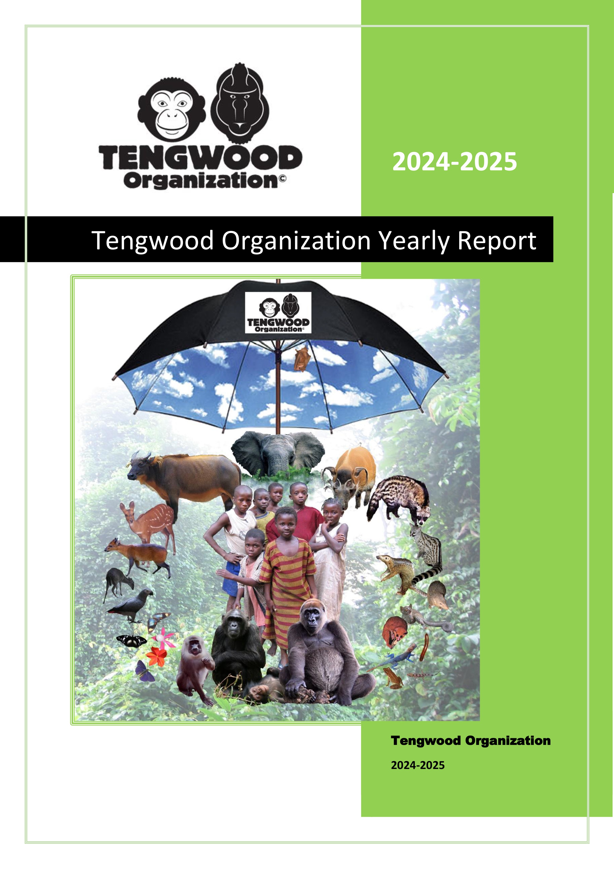 Yearly Report 2025