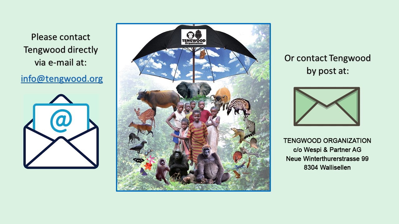 tengwood contact page