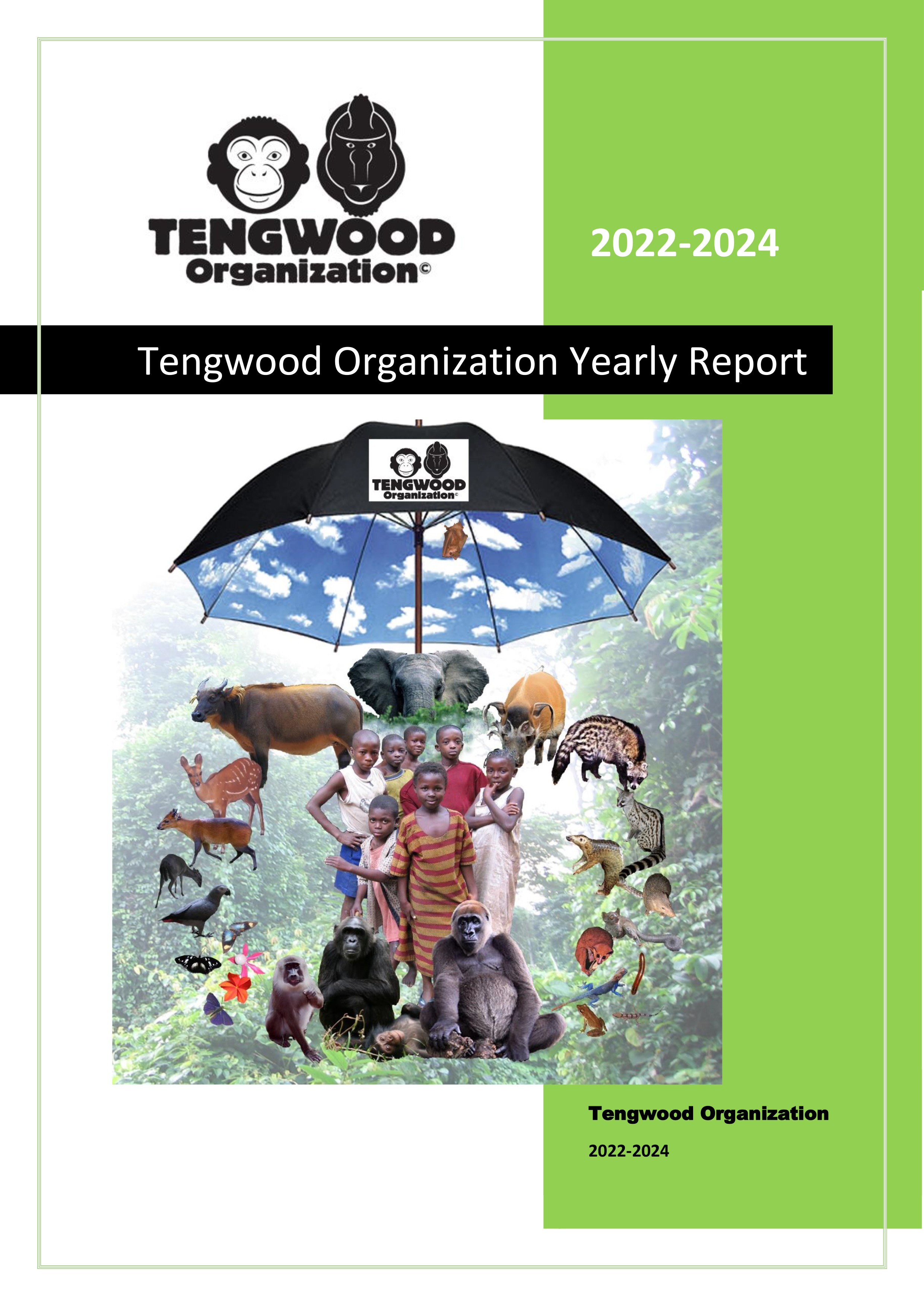 Yearly Report 2022-2024